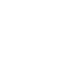 Simple line drawing of a human brain, shown from above, with symmetrical curves representing the two hemispheres on a light gray background.