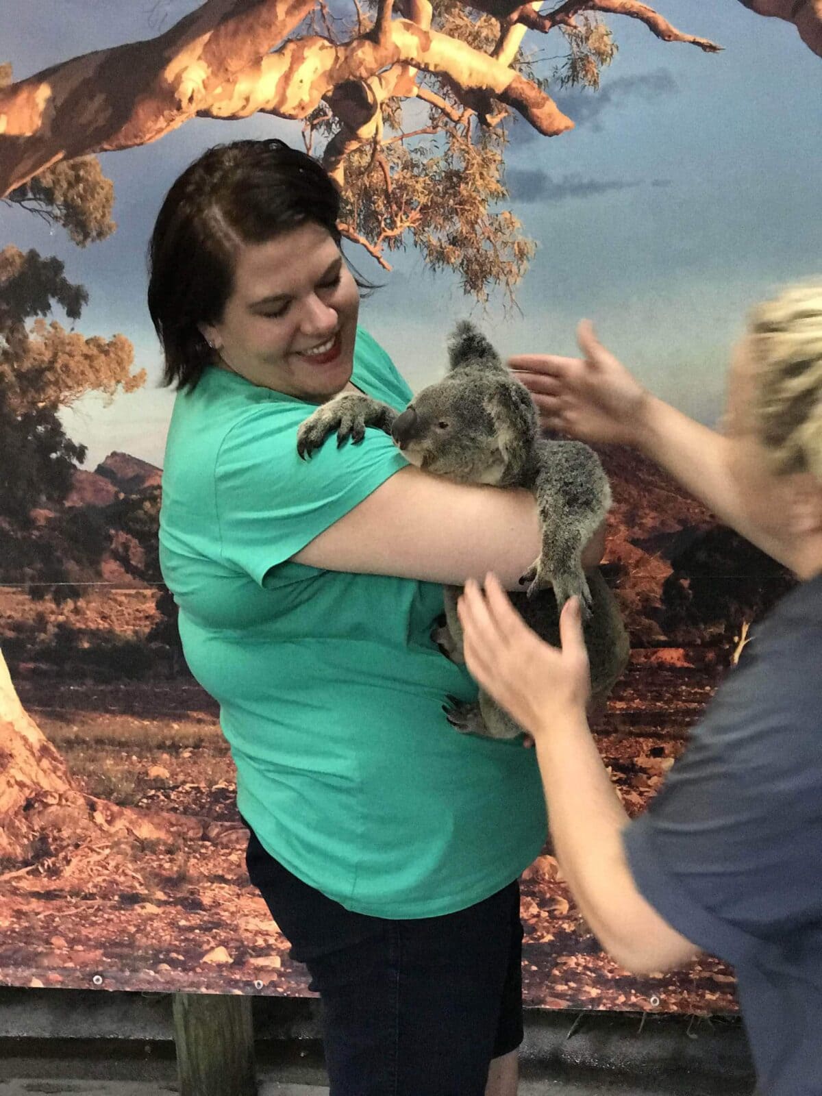 A person in a teal shirt holds a koala while another person reaches toward the animal, with a nature-themed backdrop behind them.